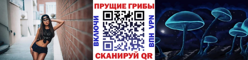 наркотики  Зарайск  Галлюциногенные грибы мухоморы 
